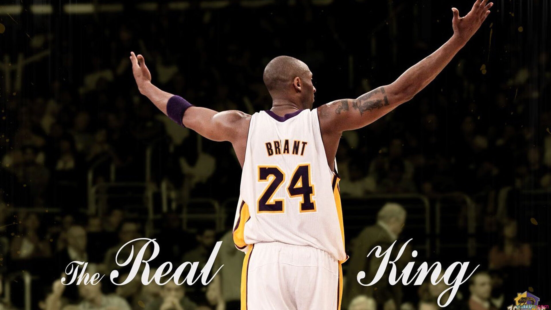 开云体育平台APP-死神降临！杜兰特末节17分导演逆转，太阳这买卖值了